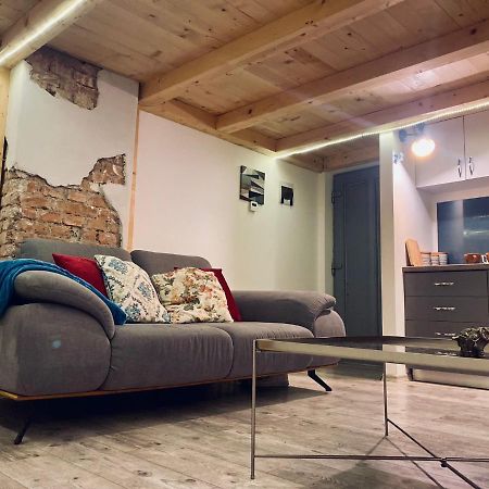 דירות Central Cluj Loft מראה חיצוני תמונה