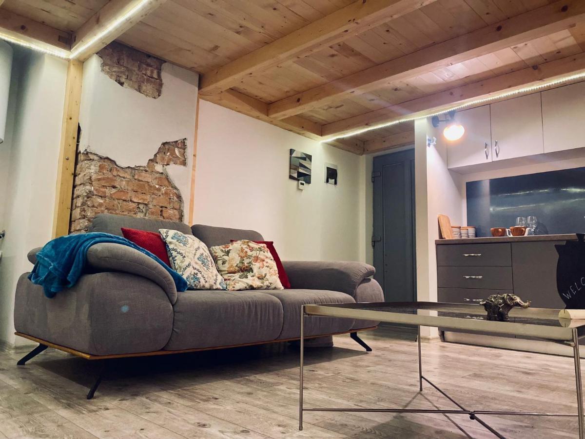 דירות Central Cluj Loft מראה חיצוני תמונה