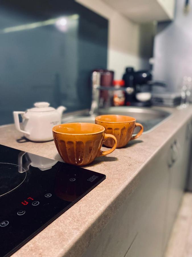 דירות Central Cluj Loft מראה חיצוני תמונה